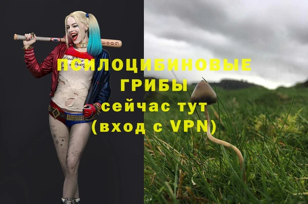 марихуана Белокуриха