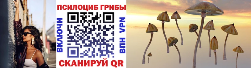 Галлюциногенные грибы Psilocybine cubensis  Купить  Енисейск 